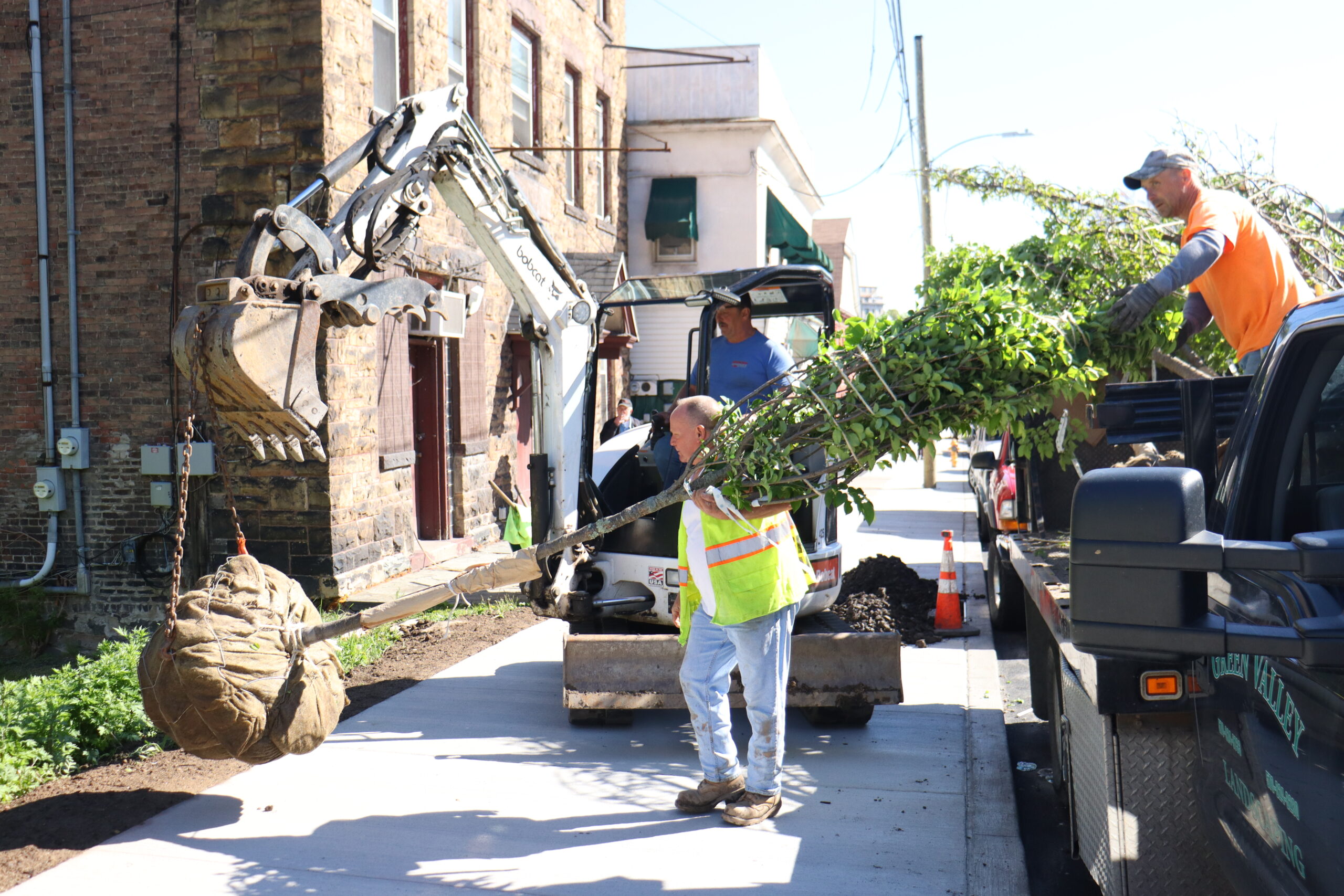 Third Perspective of Tree Planting on Cedar Avenue