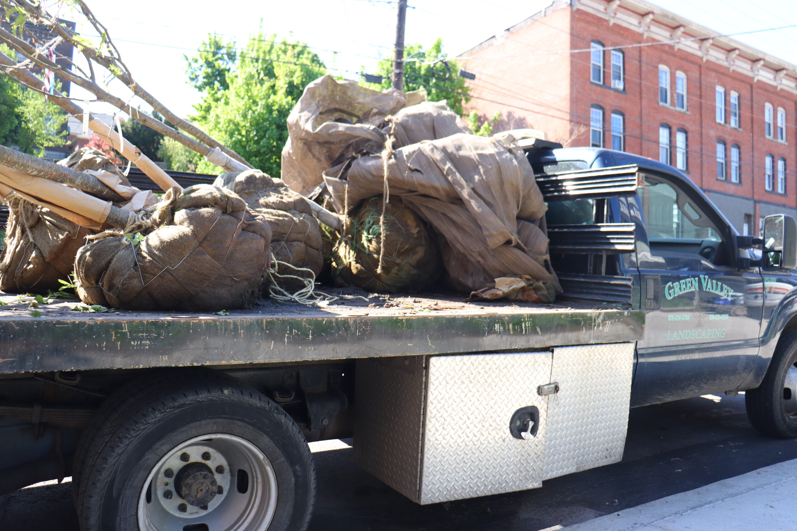 Fourth Perspective of Tree Planting on Cedar Avenue